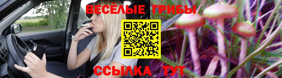 где найти   Псилоцибиновые грибы Cubensis  Карпинск  Вход с VPN  Галлюциногенные грибы Cubensis 
