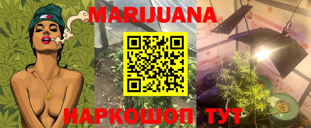 Конопля планчик Карпинск